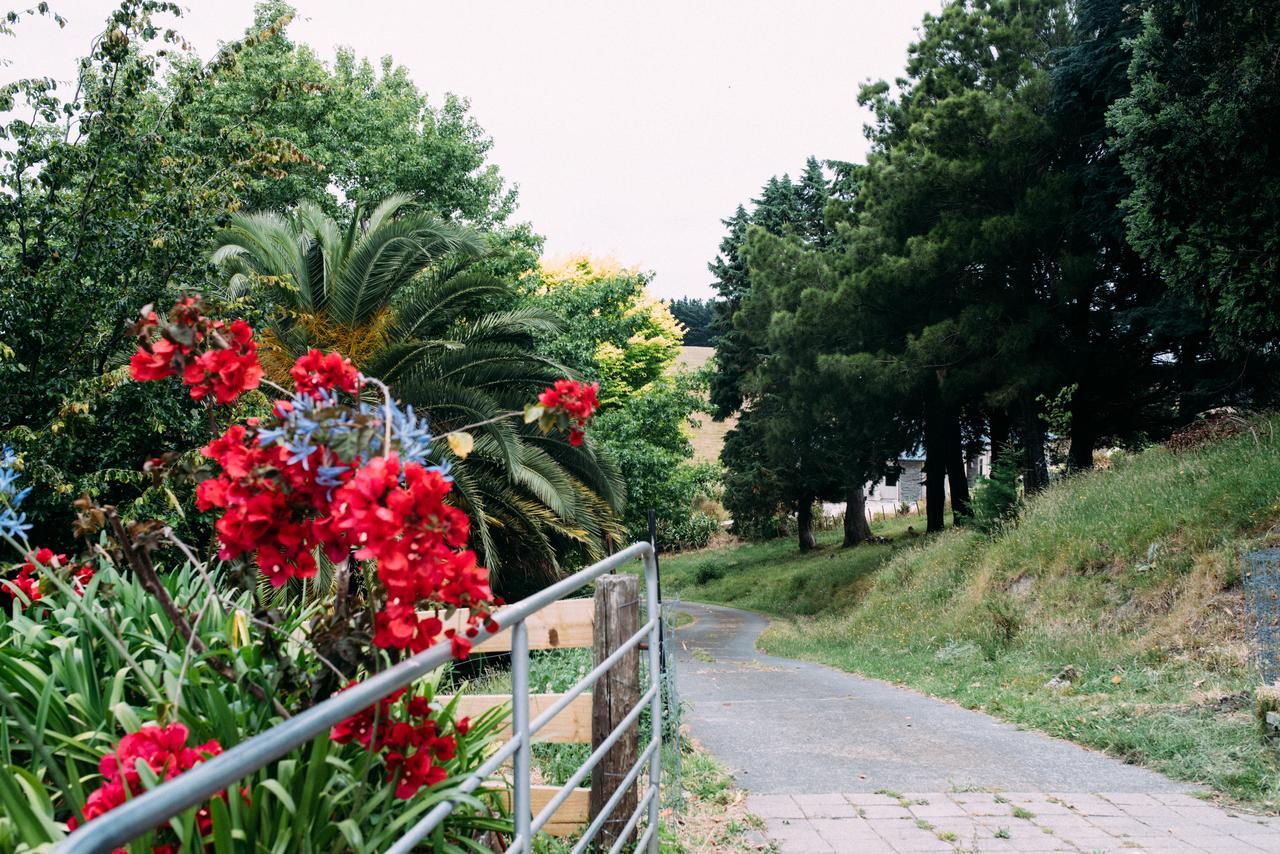Seahurst Apartment Eskdale エクステリア 写真